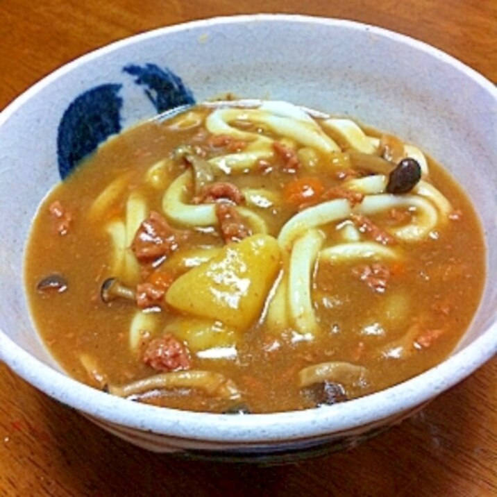 余ったカレーで☆カレーうどん